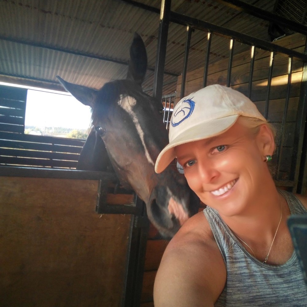 Meet your Posher, Healy